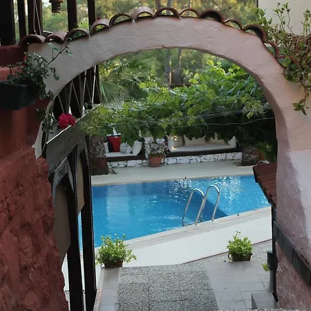 Kekikhan Apartment Olympos