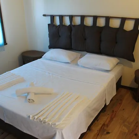 Kekikhan Apartment Olympos