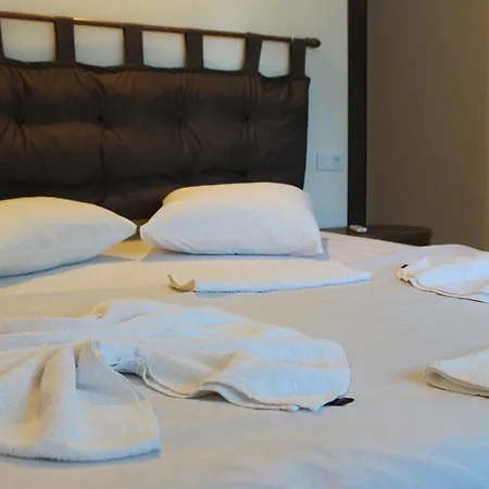 Kekikhan Apartment Olympos