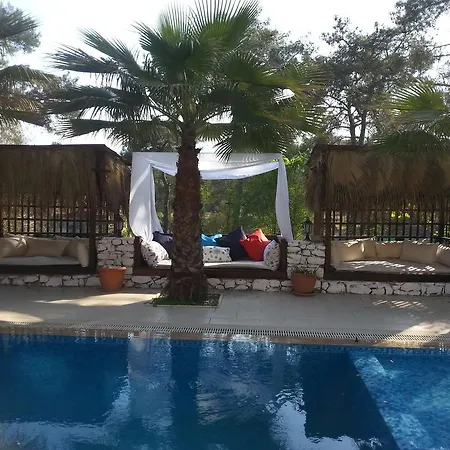 Apartment Kekikhan Olympos