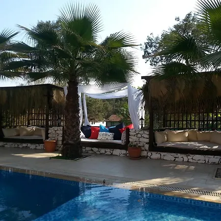 Kekikhan Olympos