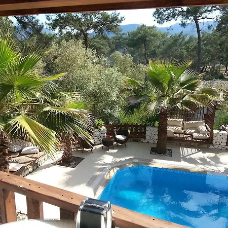 Apartment Kekikhan Olympos